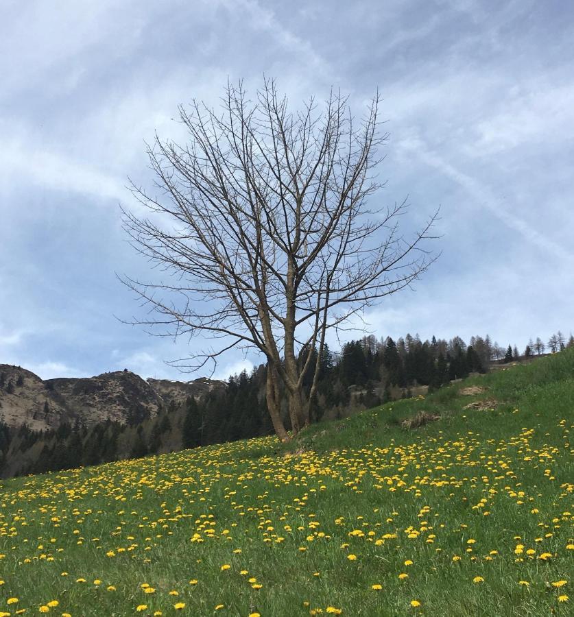 B&B Gottardo Airolo Bagian luar foto