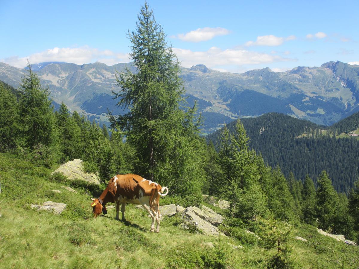 B&B Gottardo Airolo Bagian luar foto